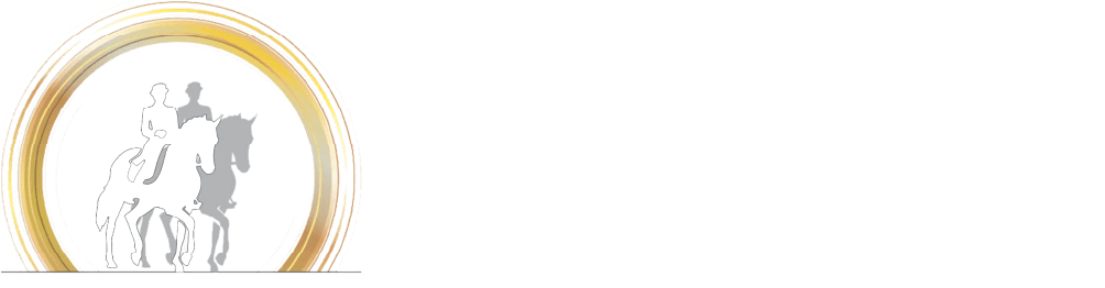 Viehoff Reitstiefel Spezialist 